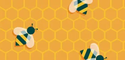 Beehive