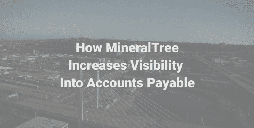 How MineralTree Increases Visibility Into AP