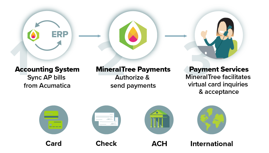 MineralTree Payments process