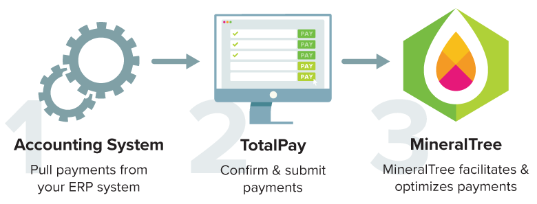 Connect your ERP to MineralTree TotalPay to simplify payments