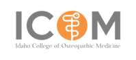 ICOM Logo